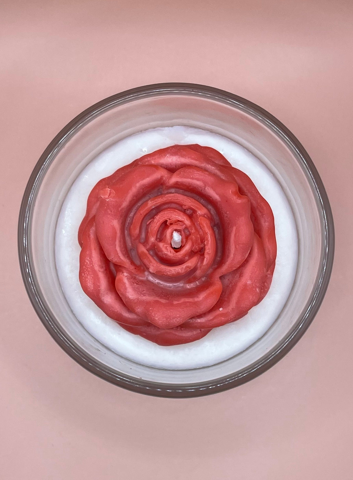 Candela Red Rose - Pink Rose